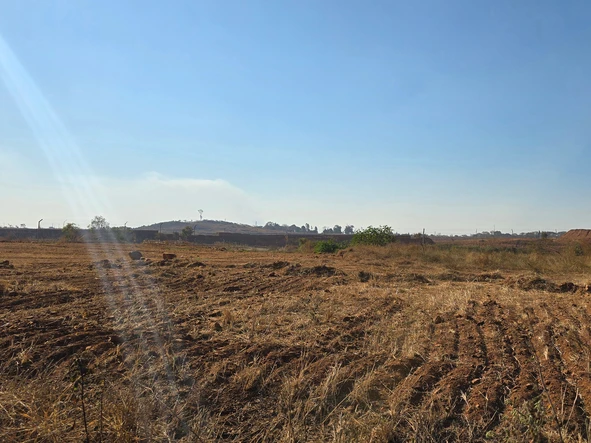 Land