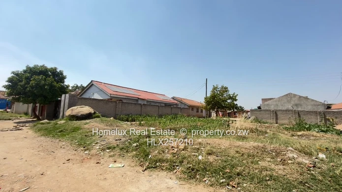 Stands for Sale in Damofalls Phase 4