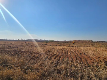 Land
