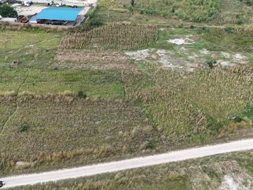 Commercial & Industrial Land