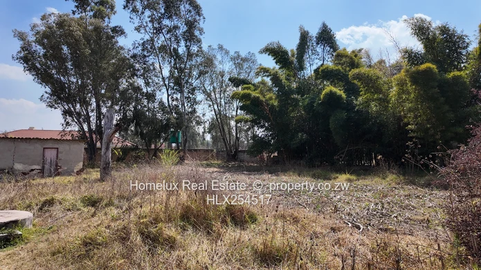 Dilapidated house in Hatfield